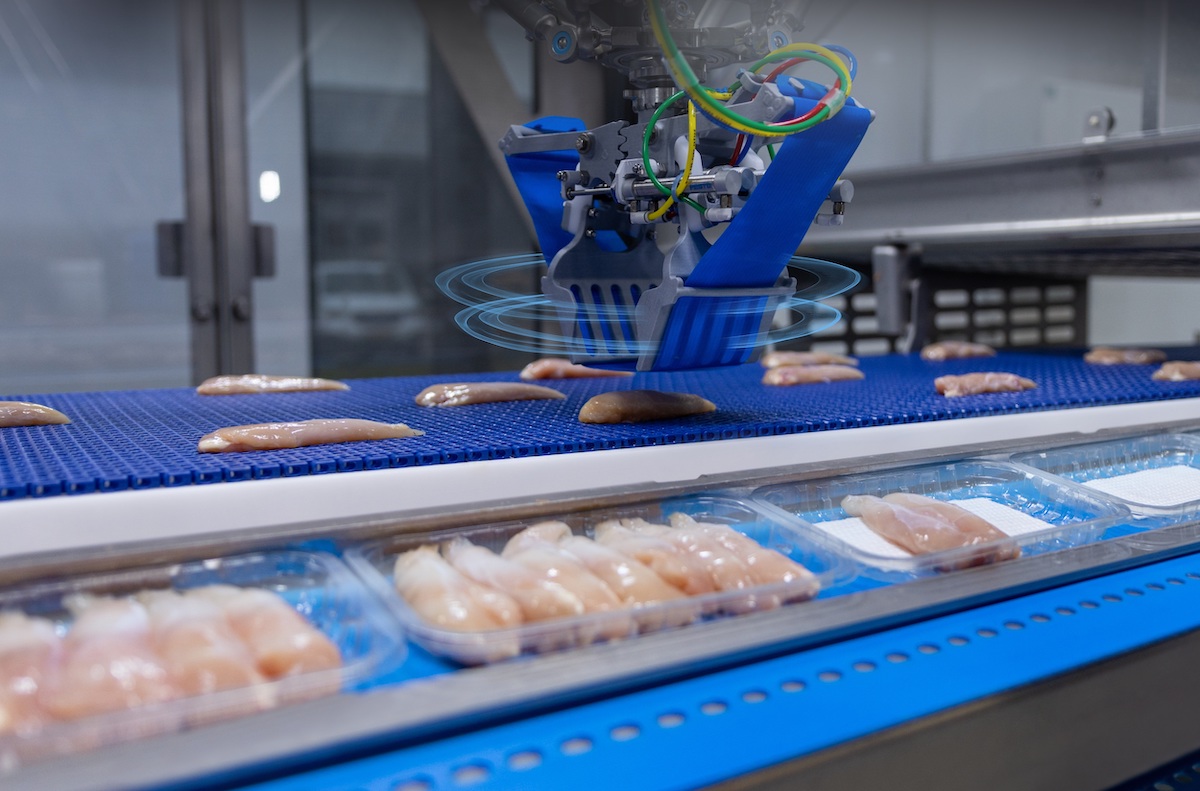 RoboBatcher robotic packing of rooster tenders RoboBatcher robotic packing of rooster tenders