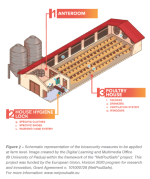 Biosecurity in poultry farming: an effective tool to fight infectious ...