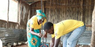 Mozambique poultry receives new funding for its transformation agenda