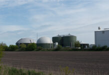 Turning Poultry Manure into Power: How Biogas Can Benefit Your Farm and the Climate