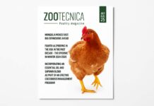 Zootecnica – Poultry Magazine | July–August 2025 Digital Edition