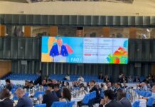 Royal Jaarbeurs at FAO 2025: Innovation, Inclusion, and Collaboration Key to Livestock Transformation