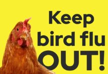 #NoBirdFlu campaign launches to boost farm biosecurity across Europe