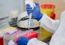 Electron beam vaccines show promise as alternative to antibiotics in poultry health