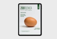 The digital edition of Zootecnica – Poultry Magazine (September 2025) is now online
