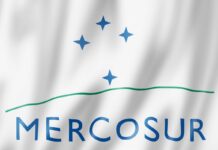 AVEC: The Mercosur Safeguard “Will Never Work” for Poultry