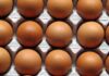 The Canadian egg industry – A portrait