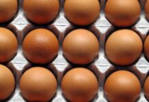 The Canadian egg industry – A portrait