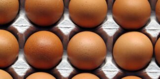 The Canadian egg industry – A portrait
