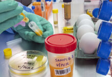 Fourth ai epidemic in the USA in the past decade – The epidemic in winter 2024/2025