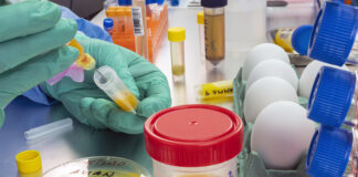 Fourth ai epidemic in the USA in the past decade – The epidemic in winter 2024/2025