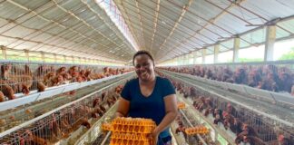 Tanzania unveils a new standard for poultry feed concentrates