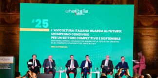 Italy’s poultry sector posts record consumption and growth in 2024, Unaitalia reports
