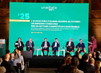 Italy’s poultry sector posts record consumption and growth in 2024, Unaitalia reports