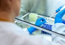 Avian influenza in Europe: enhanced surveillance and strict biosecurity needed as detections surge