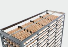 Hatching eggs: the importance of assessing internal egg quality
