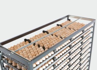 Hatching eggs: the importance of assessing internal egg quality