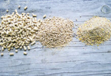 Thoughts on diet energy. Definitions, requirements and alternatives