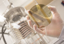 USPOULTRY Releases Updated Report of Antibiotic Stewardship Within US Poultry Production