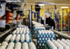 Denmark’s egg industry – Analysis of an unusual structure