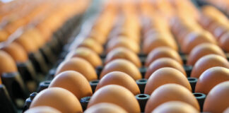 The U.S. poultry industry under stress: a turbulent decade in retrospect. Part 1 – The egg industry