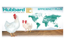 Axel Aguayo joins Hubbard as Technical Sales Manager Spain & Portugal