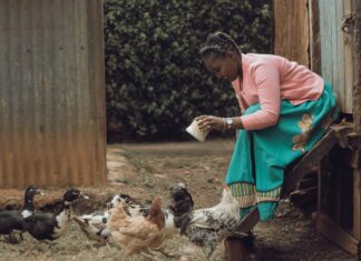 Aviagen East Africa Empowers Poultry Professionals at 2025 Training Module in Nairobi