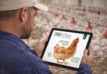 The new digital edition of Zootecnica – Poultry Magazine is now online