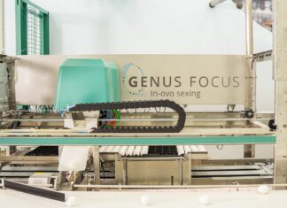 Orbem secures €55.5 million to expand AI-powered MRI technology for poultry hatcheries