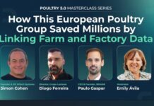How a European poultry group saved millions by linking farm and factory data