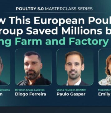 How a European poultry group saved millions by linking farm and factory data