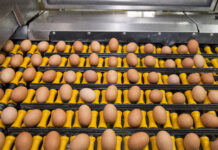 Import of poultry meat and products from areas in US suspended