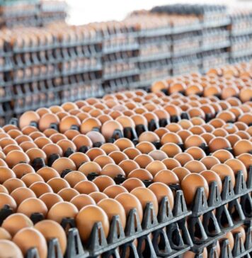 The U.S. poultry industry under stress: a turbulent decade in retrospect. Part 2: poultry meat production