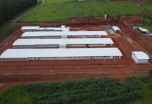 Hubbard invests R$ 60 million to increase its production in Brazil