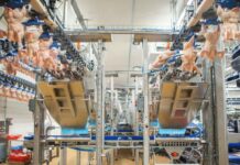 Jbt Marel gives you wings. Separate processing for damaged and undamaged chicken wings