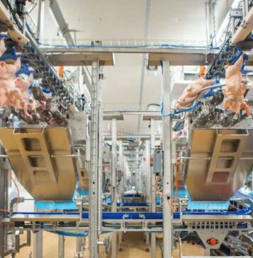 Jbt Marel gives you wings. Separate processing for damaged and undamaged chicken wings