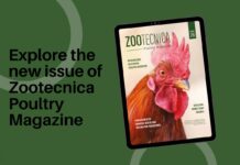 The new digital edition of Zootecnica – Poultry Magazine is now online