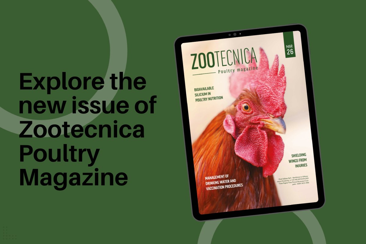 The new digital edition of Zootecnica – Poultry Magazine is now online