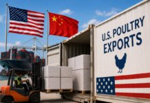 China lifts HPAI-related poultry export restrictions for 17 U.S. states