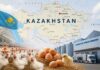Kazakhstan poultry industry growth: broiler production, egg market, government support and export potential