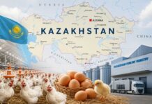 Kazakhstan poultry industry growth: broiler production, egg market, government support and export potential