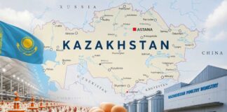 Kazakhstan poultry industry growth: broiler production, egg market, government support and export potential