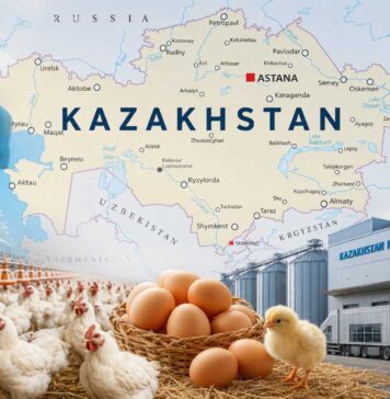 Kazakhstan poultry industry growth: broiler production, egg market, government support and export potential