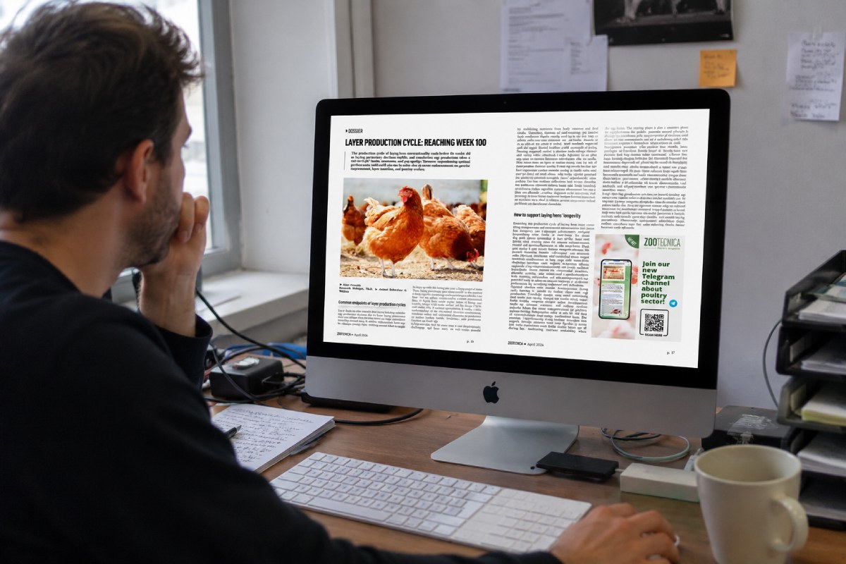 Zootecnica – Poultry Magazine: latest digital issue now online