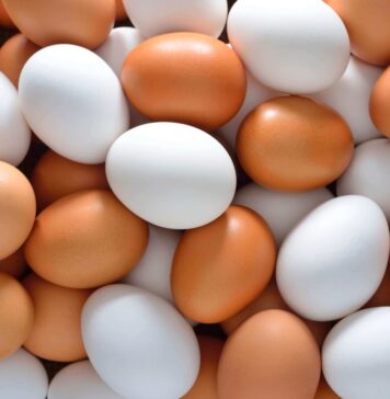 New research explores dietary approaches to maintain eggshell quality in older hens