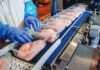 The role of the G20 in global meat production and trade. Part 1: meat production
