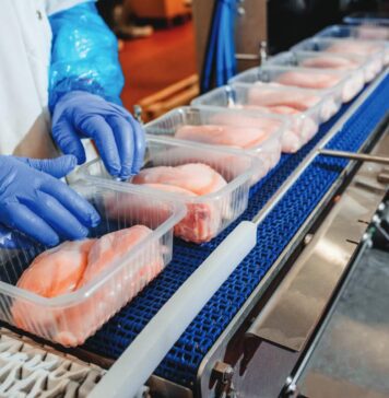 The role of the G20 in global meat production and trade. Part 1: meat production