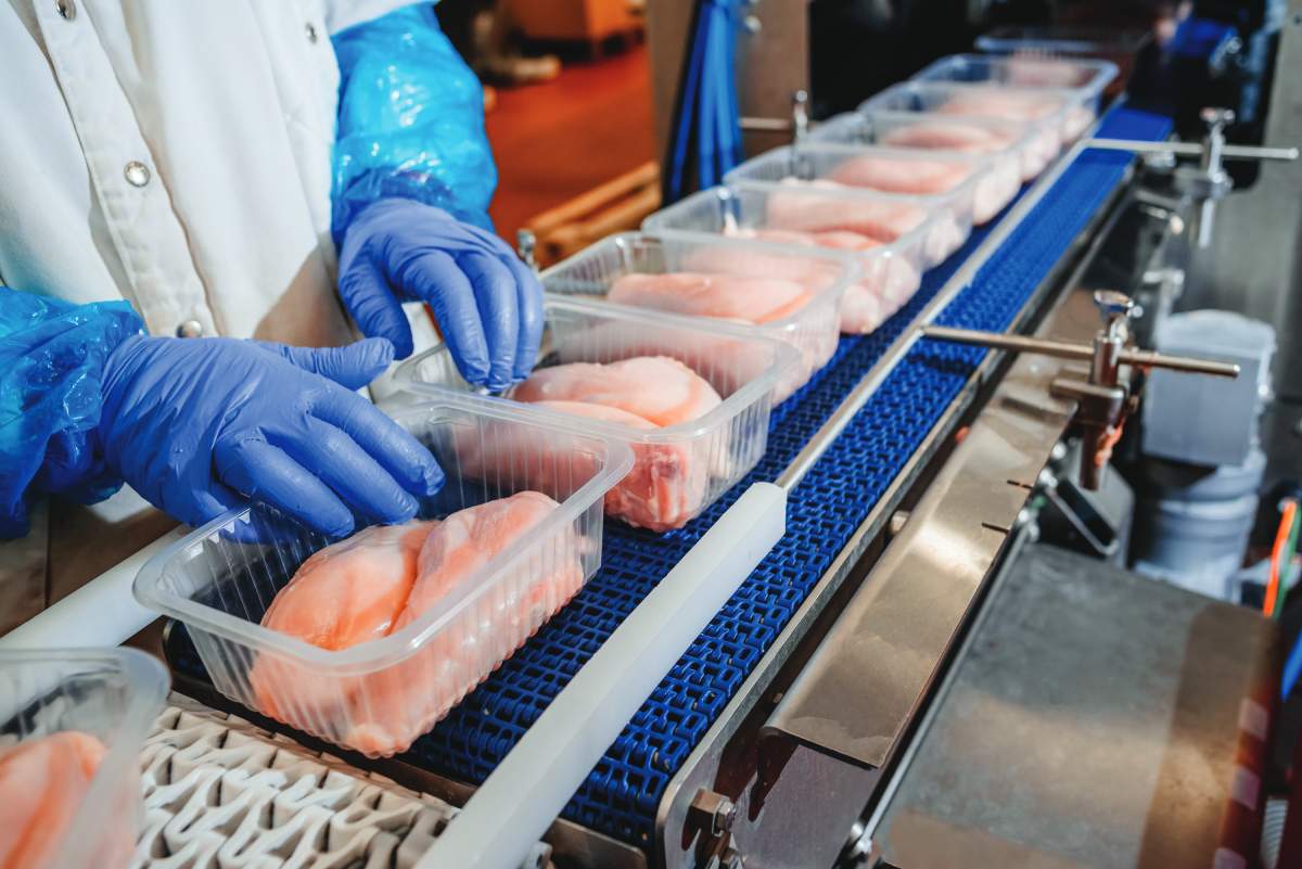 The role of the G20 in global meat production and trade. Part 1: meat production