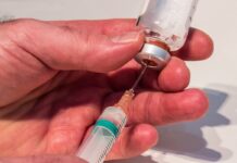 Development of U.S.-strain live and inactivated vaccines for control of avian metapneumovirus subtype B in poultry
