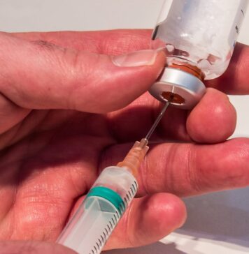 Development of U.S.-strain live and inactivated vaccines for control of avian metapneumovirus subtype B in poultry
